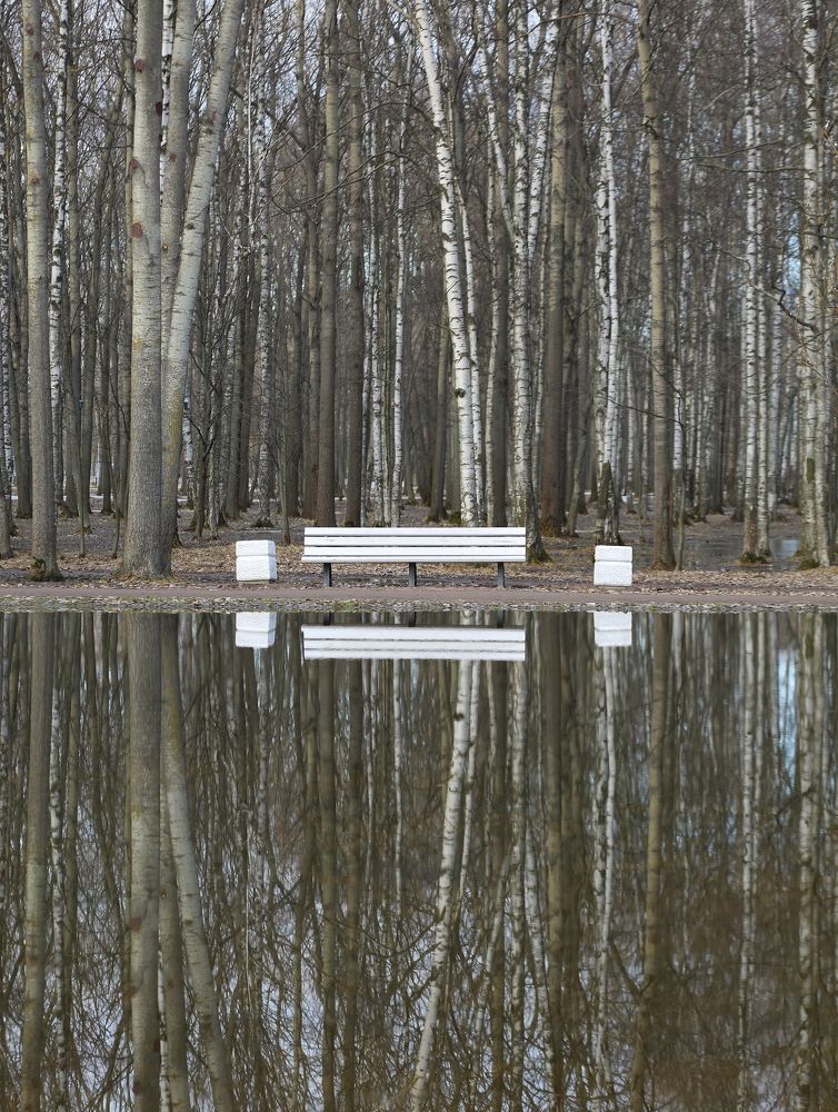 Photograph by Станислав Вершинин