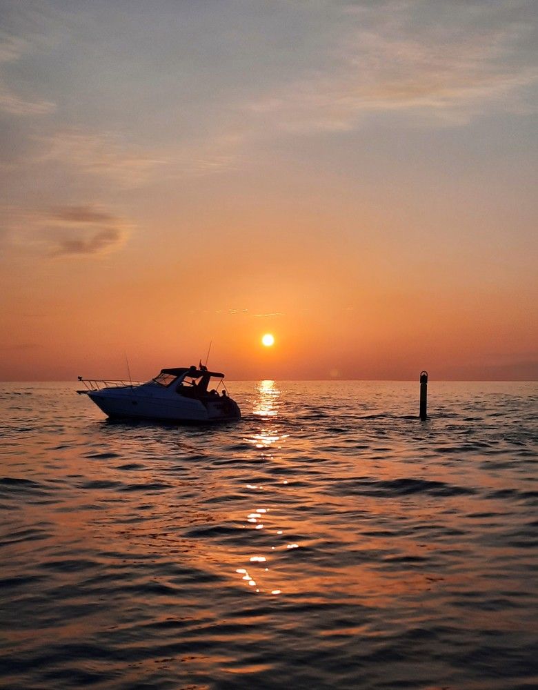 Фотография автора Елена Пикатова