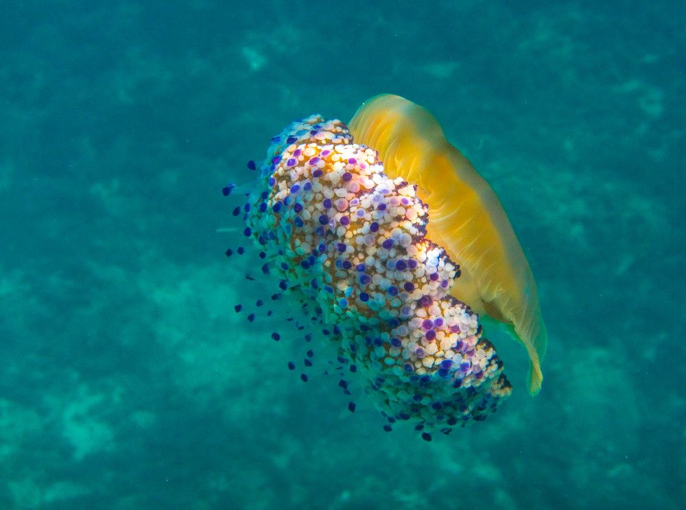 Photograph by Александр Халимов