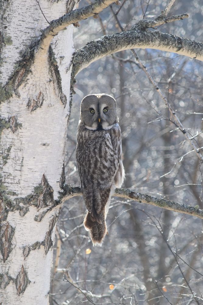 Photograph by Наталья Ченчикова