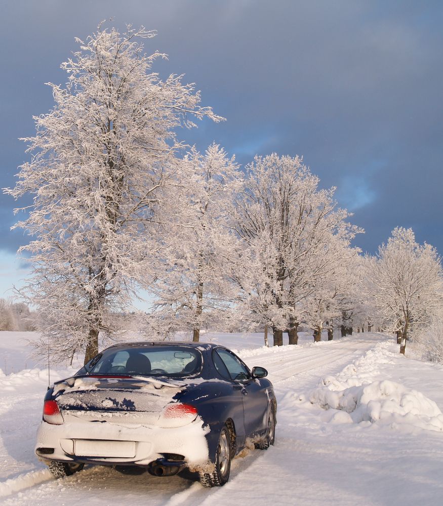 Photograph by Agita Leimane