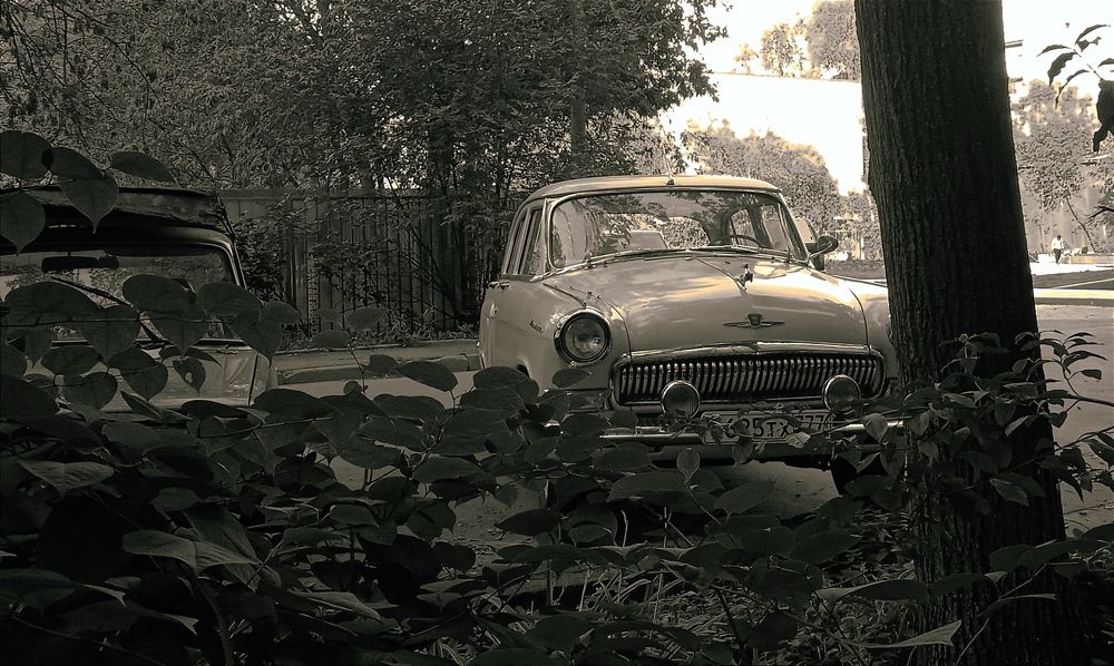 Photograph by Мария Голубева