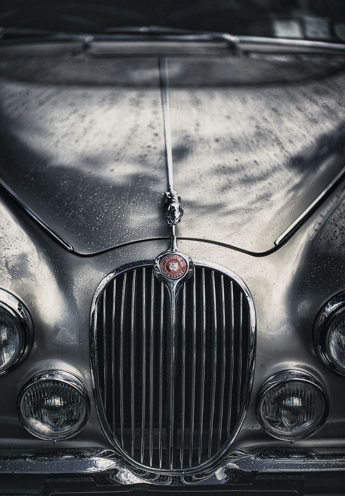 Фотография автора Vasilev Kris