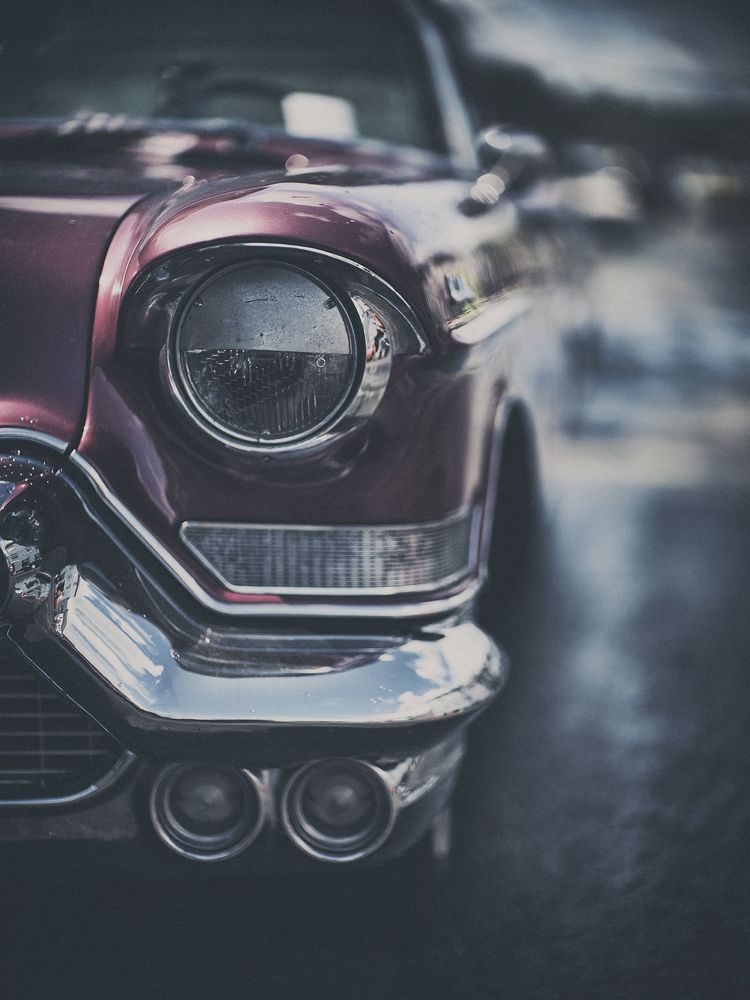 Фотография автора Vasilev Kris