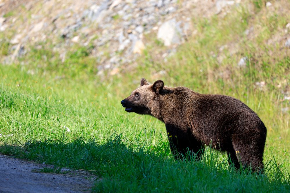 Photograph by Сергей Конюшенко