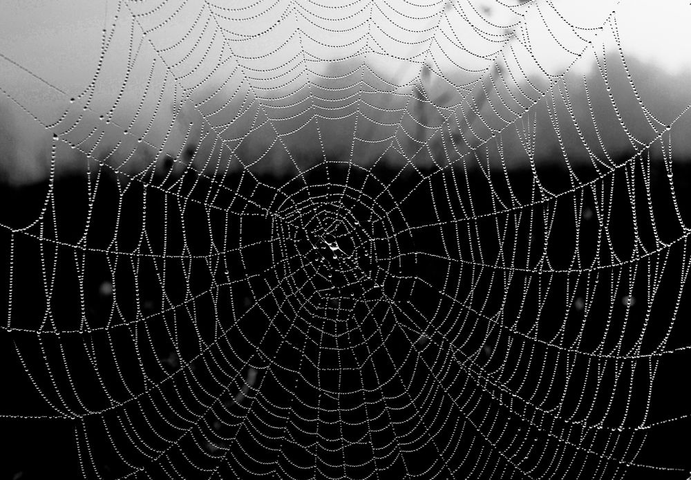 Photograph by Kirill Frolov