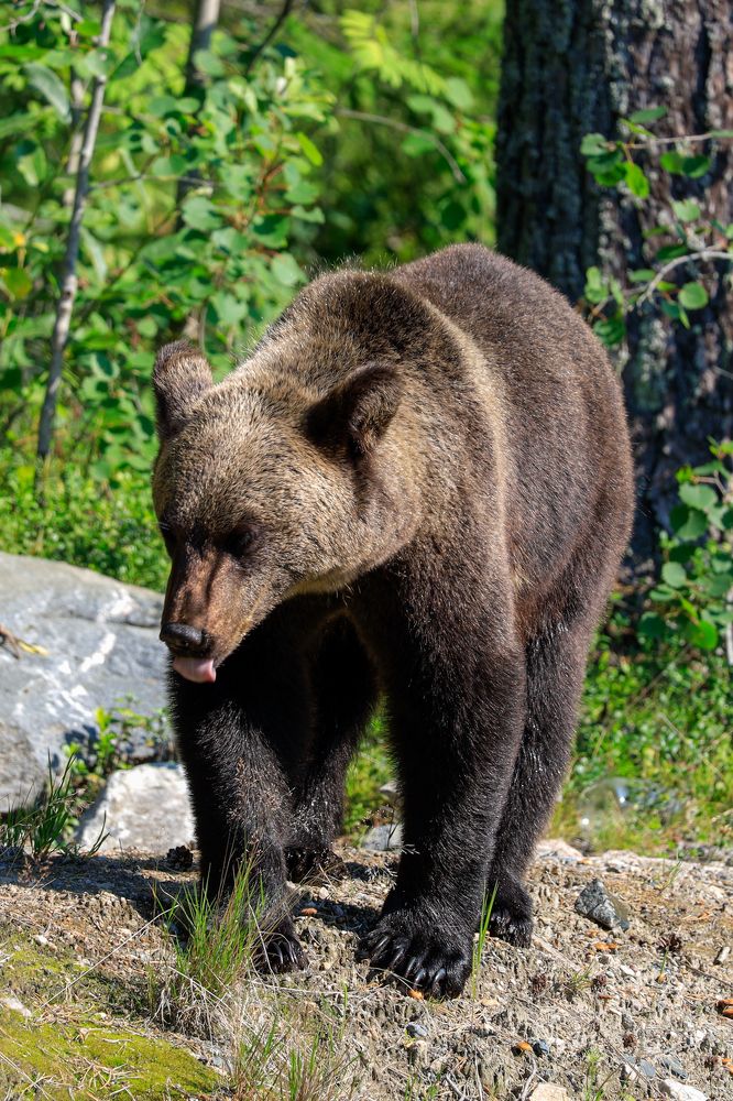 Photograph by Сергей Конюшенко