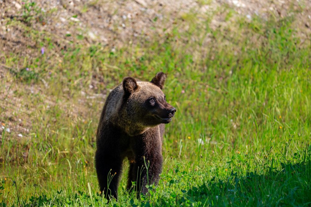 Photograph by Сергей Конюшенко