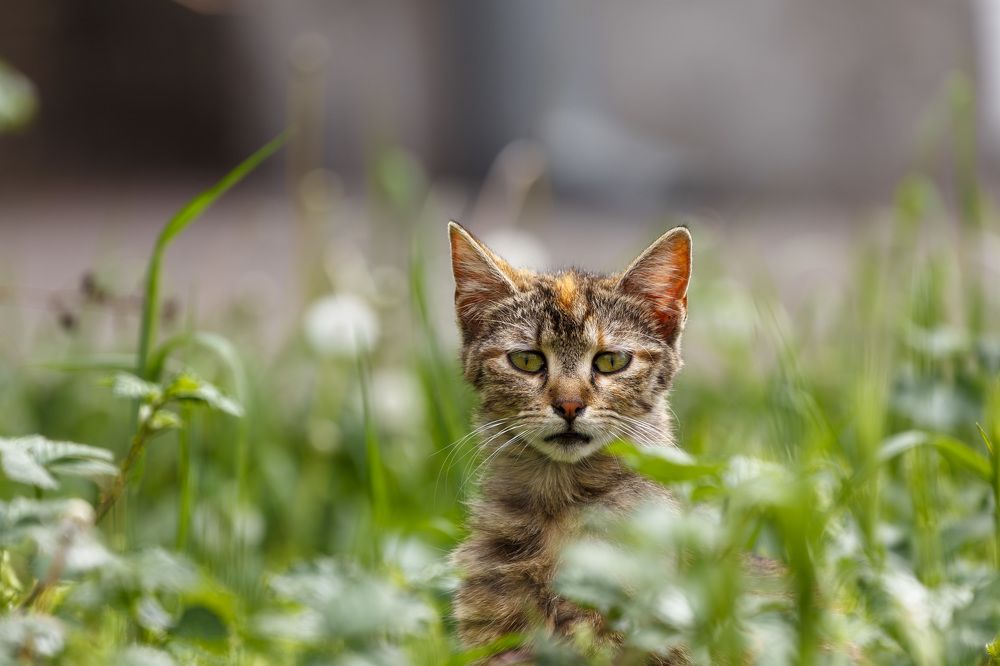 Photograph by Omelchuk Alexander