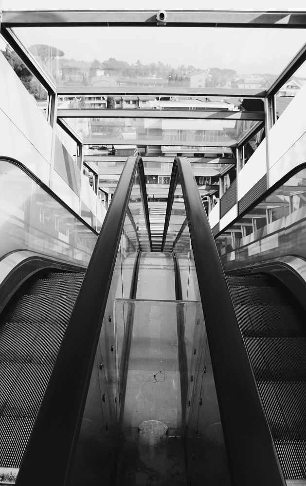 Photograph by Iryna Shyshkina