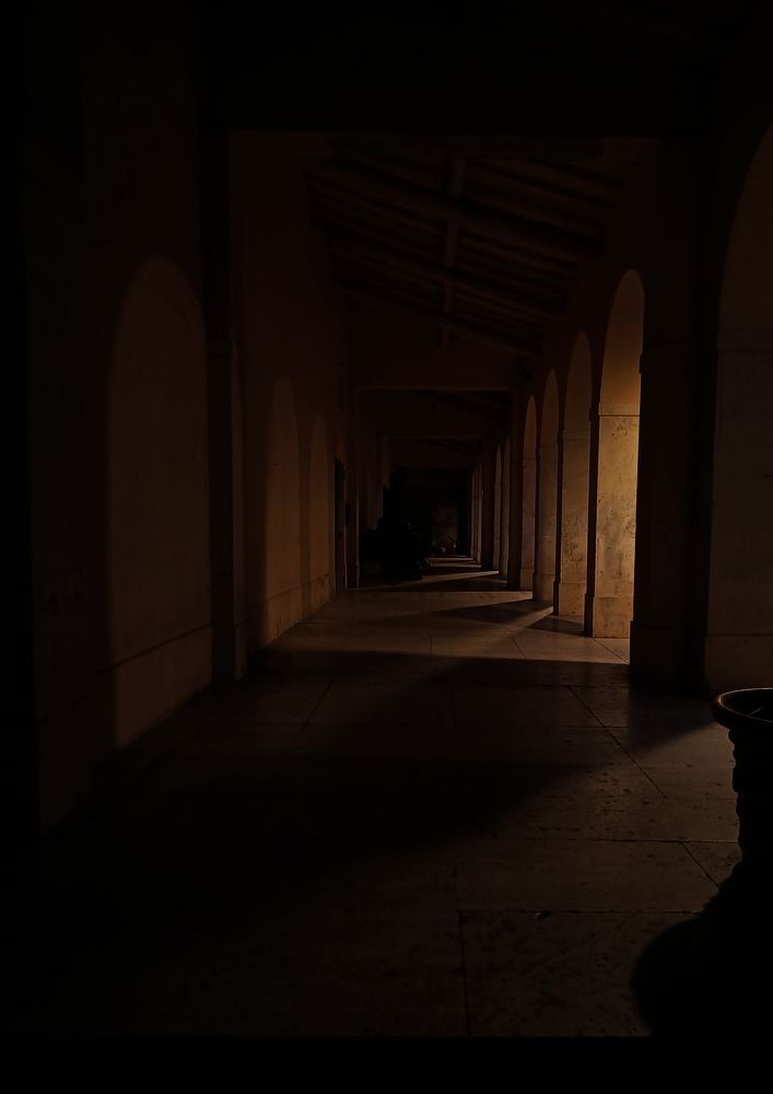 Photograph by Iryna Shyshkina