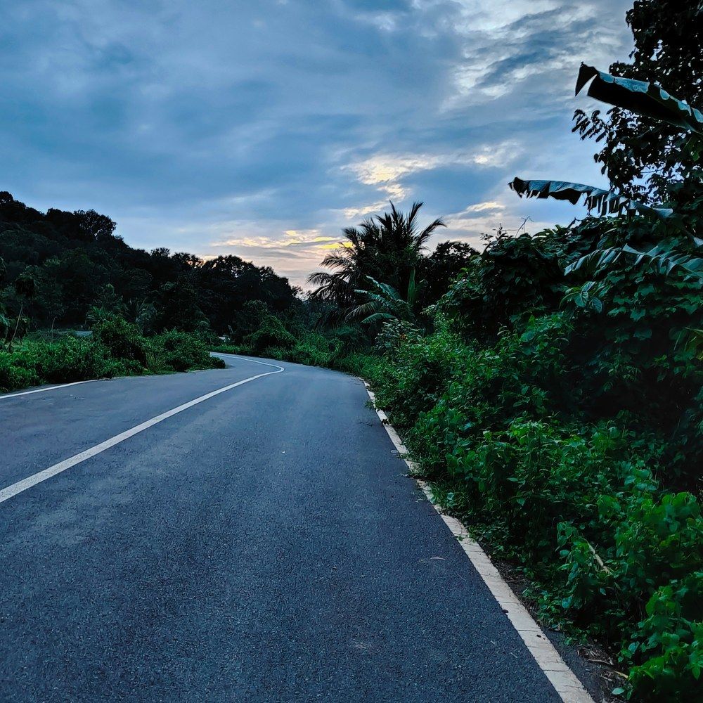 Roadside nature
