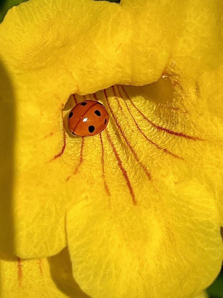 Фотография автора Renjith Kumar