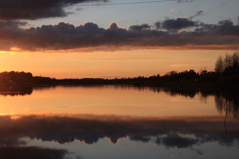 Фотография автора Анастасия Зверева
