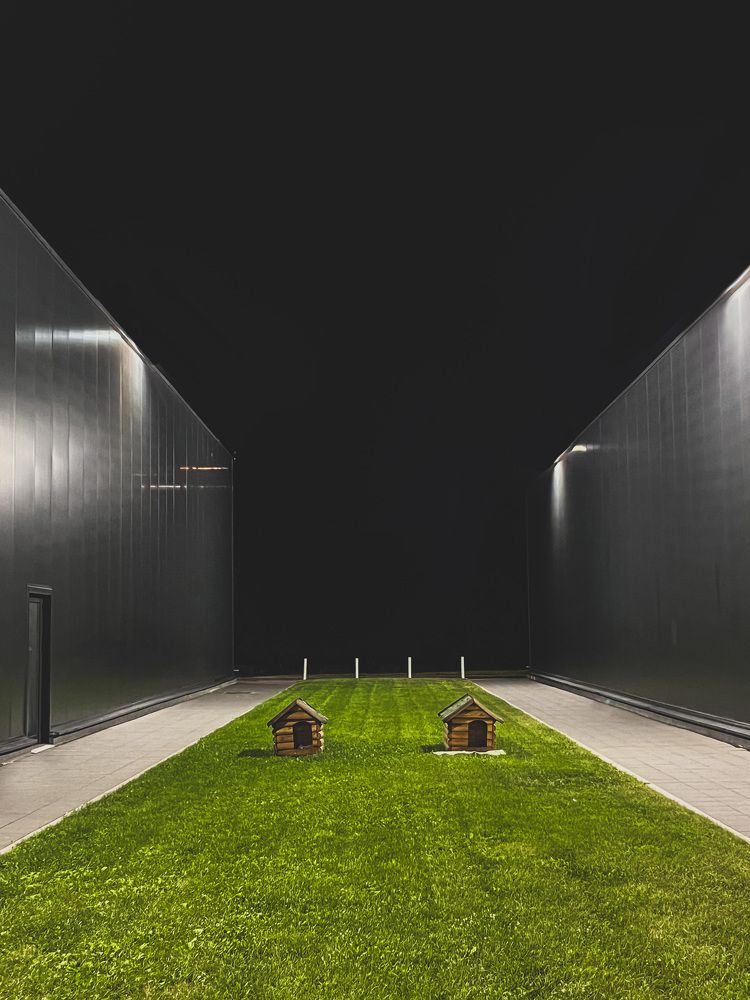 Photograph by Vedran Grebljanovic