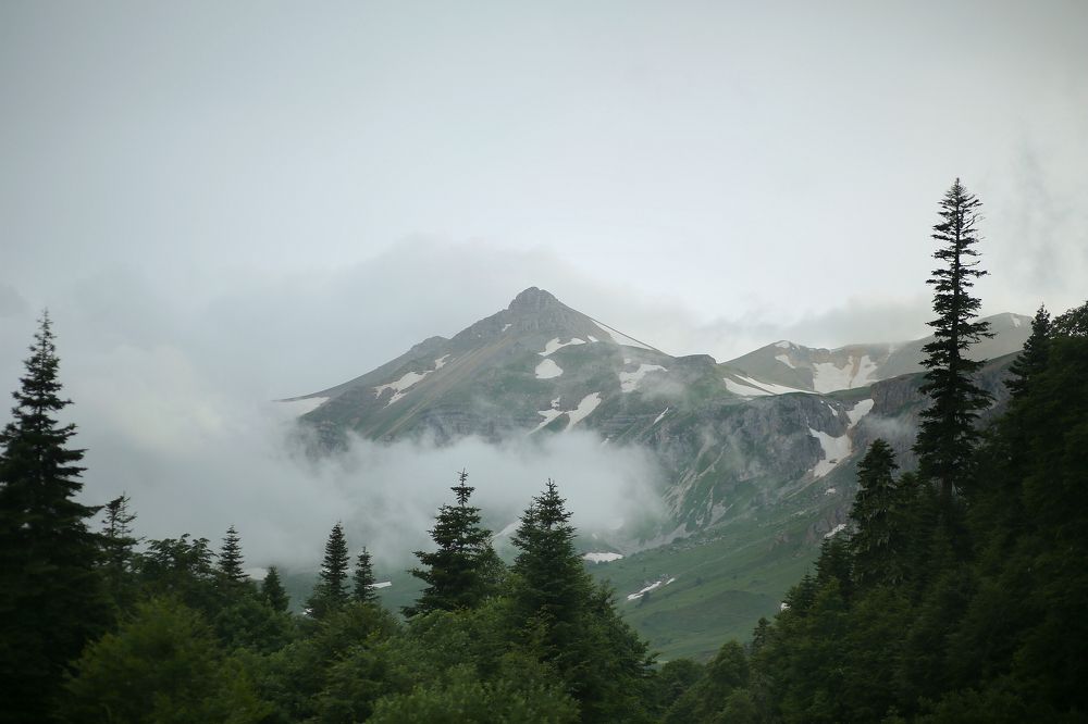 Photograph by Стоцкая Олеся