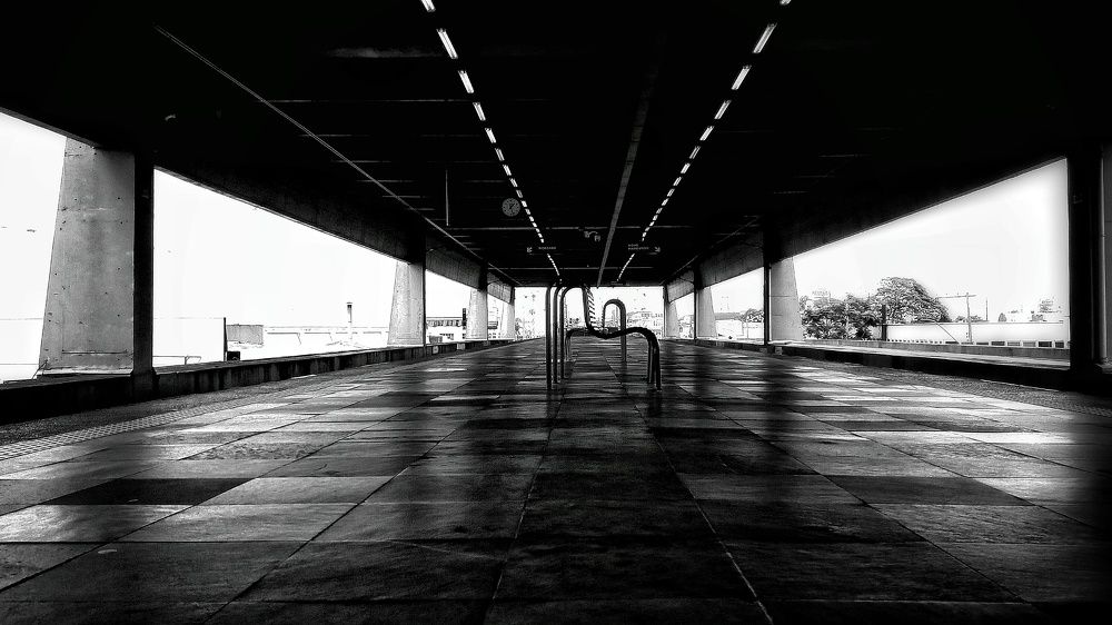 Photograph by ÁLVARO BERTONI SANGUINETTI