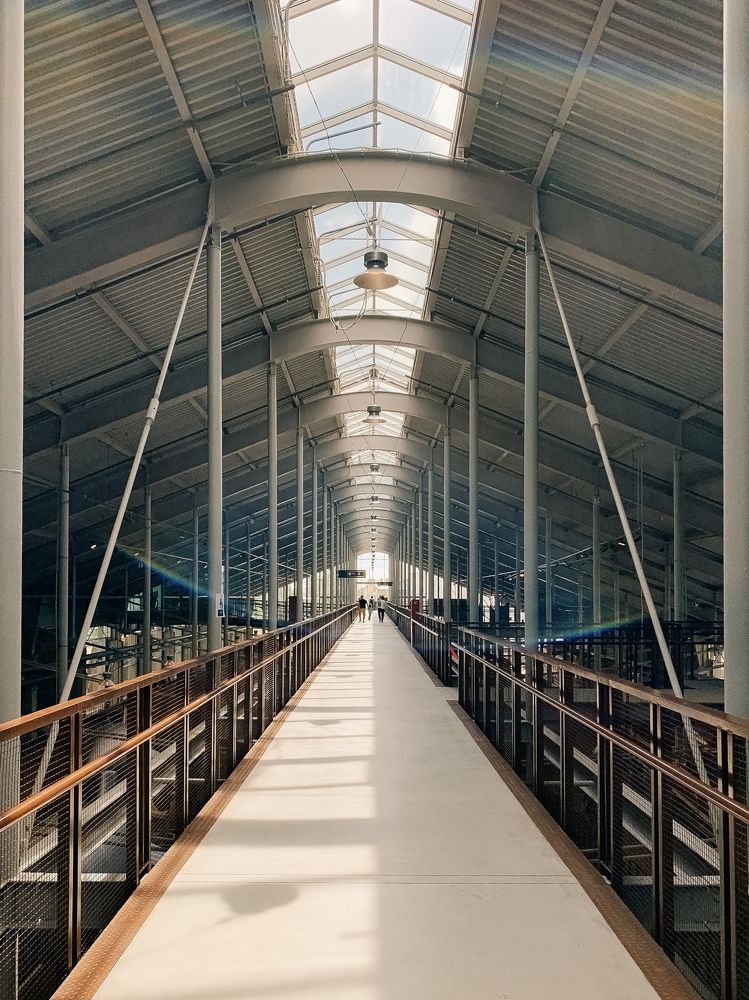 Photograph by Яна Полякова