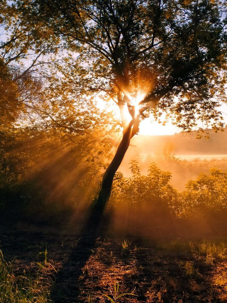 Photograph by Кузнецова Людмила