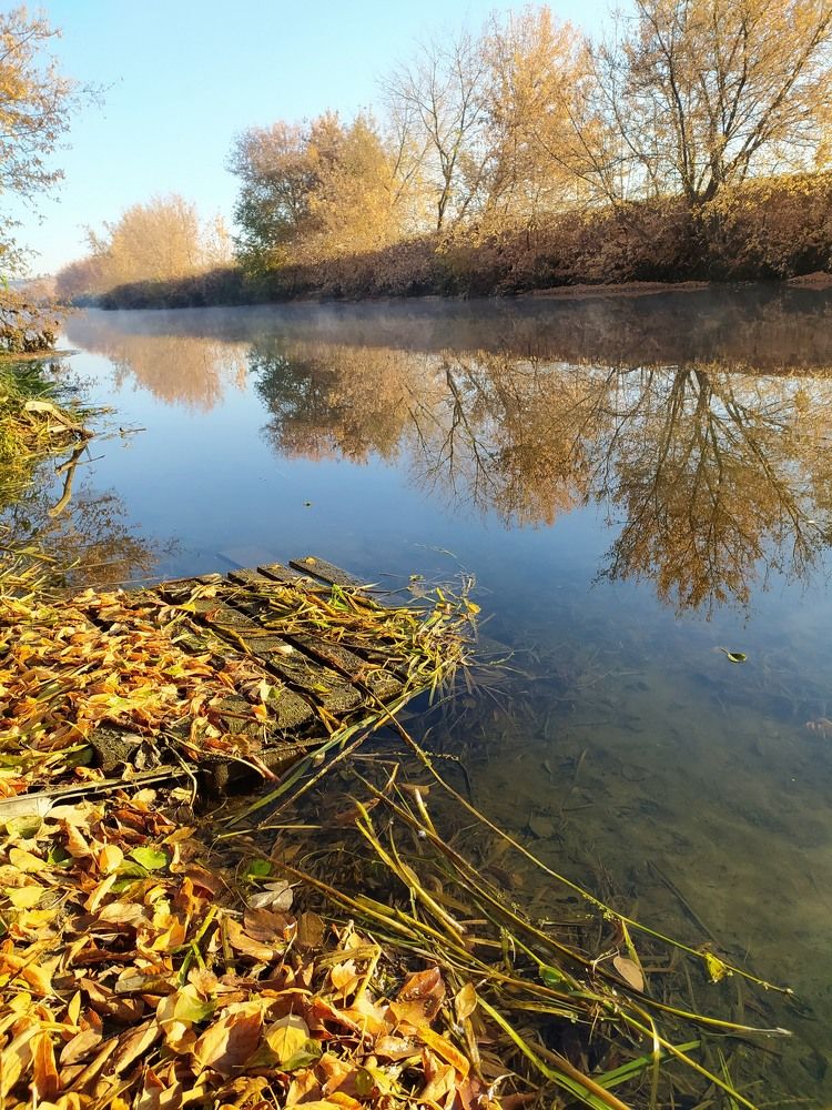 Photograph by Кузнецова Людмила