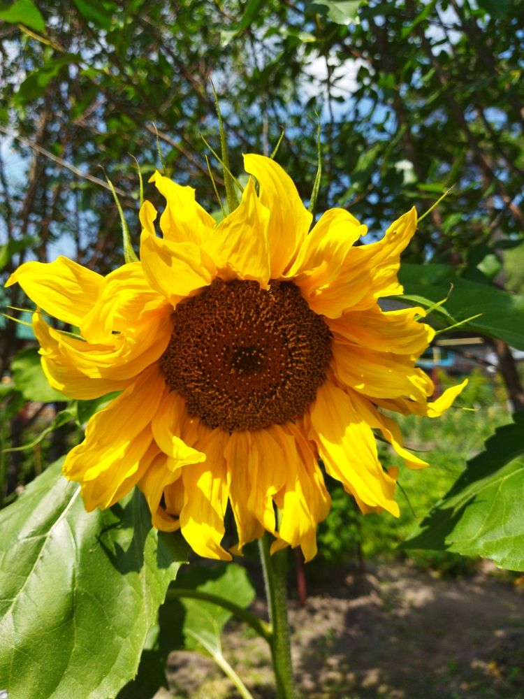 Photograph by Екатерина Лакутина