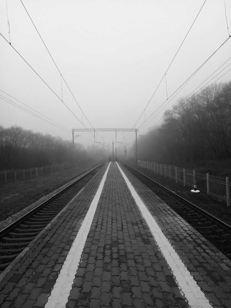 Photograph by Наталья Покрепина