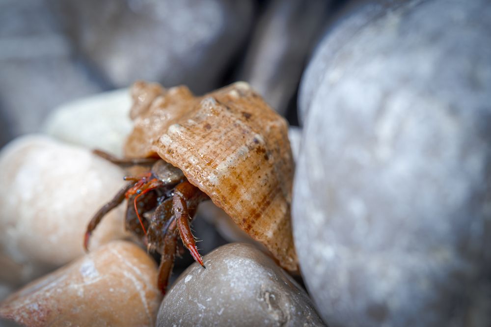 Photograph by Игорь Толкачев