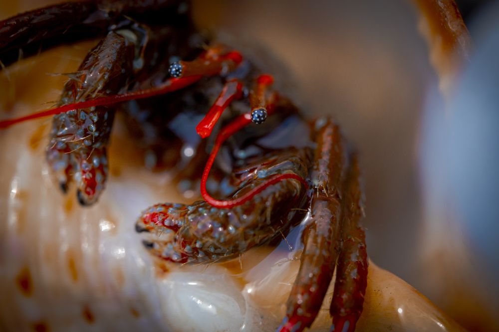 Photograph by Игорь Толкачев