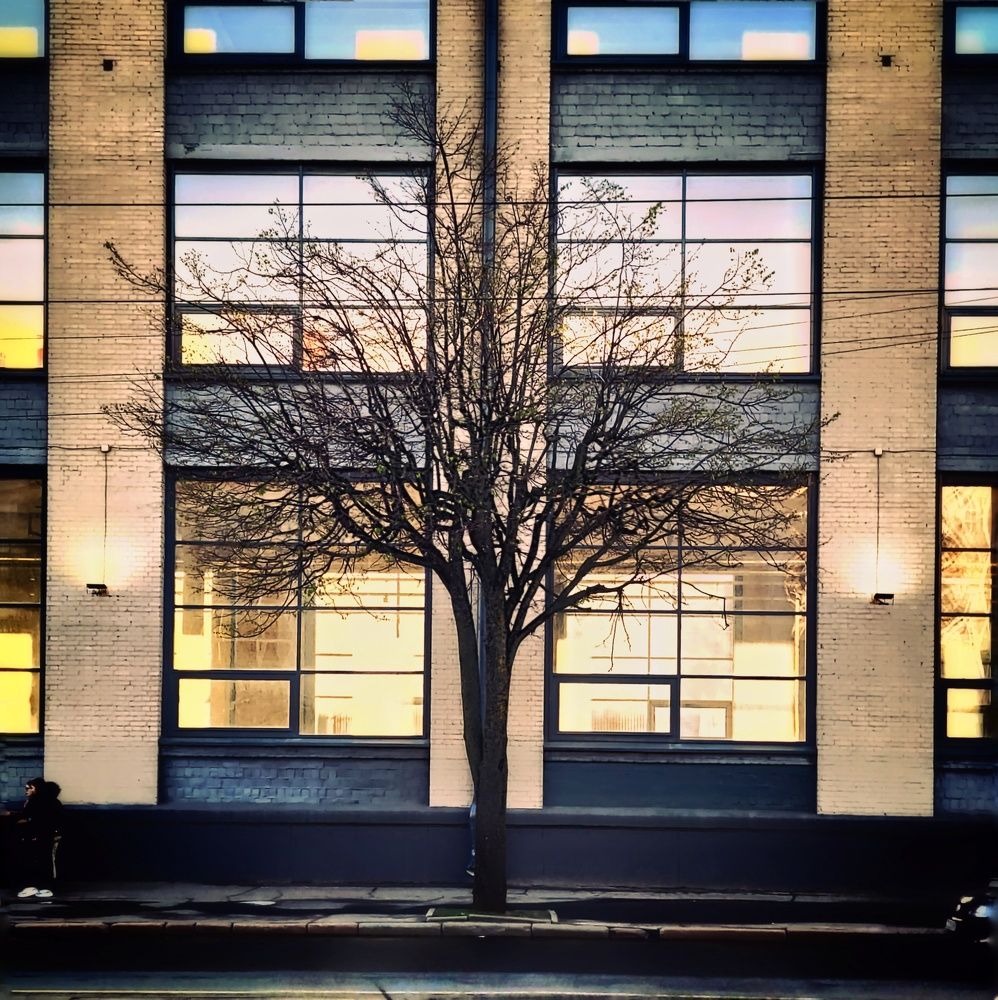 Фотография автора Максим Светличный