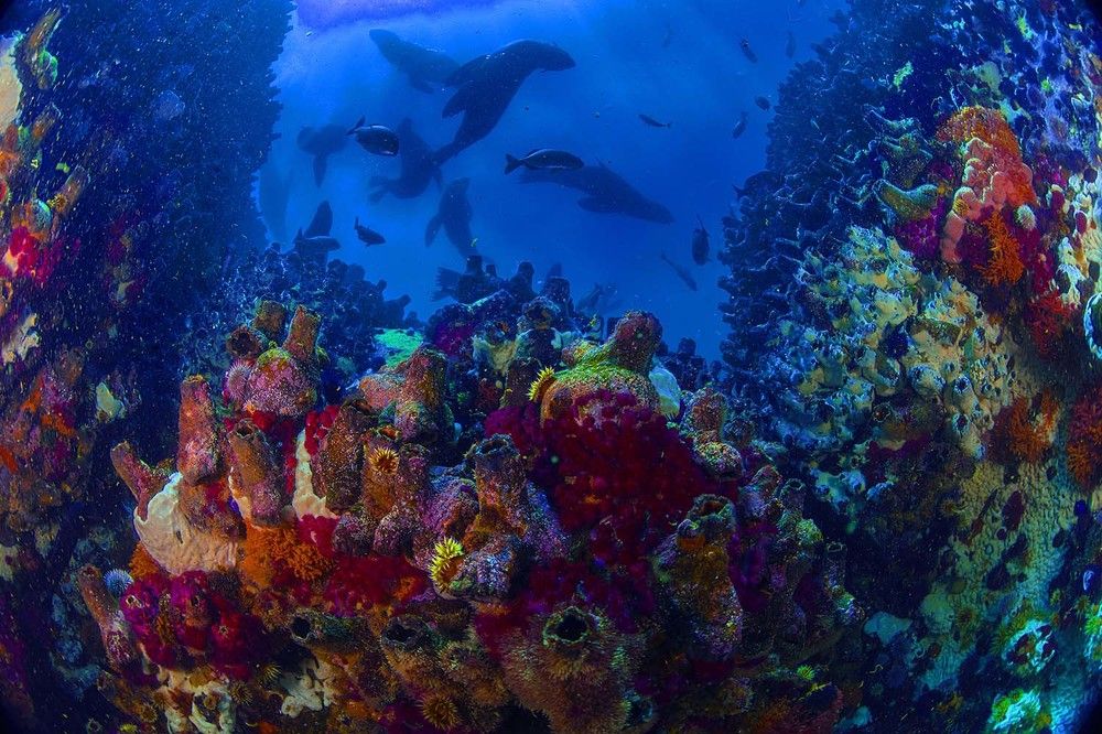 Photograph by Peet J Van Eeden