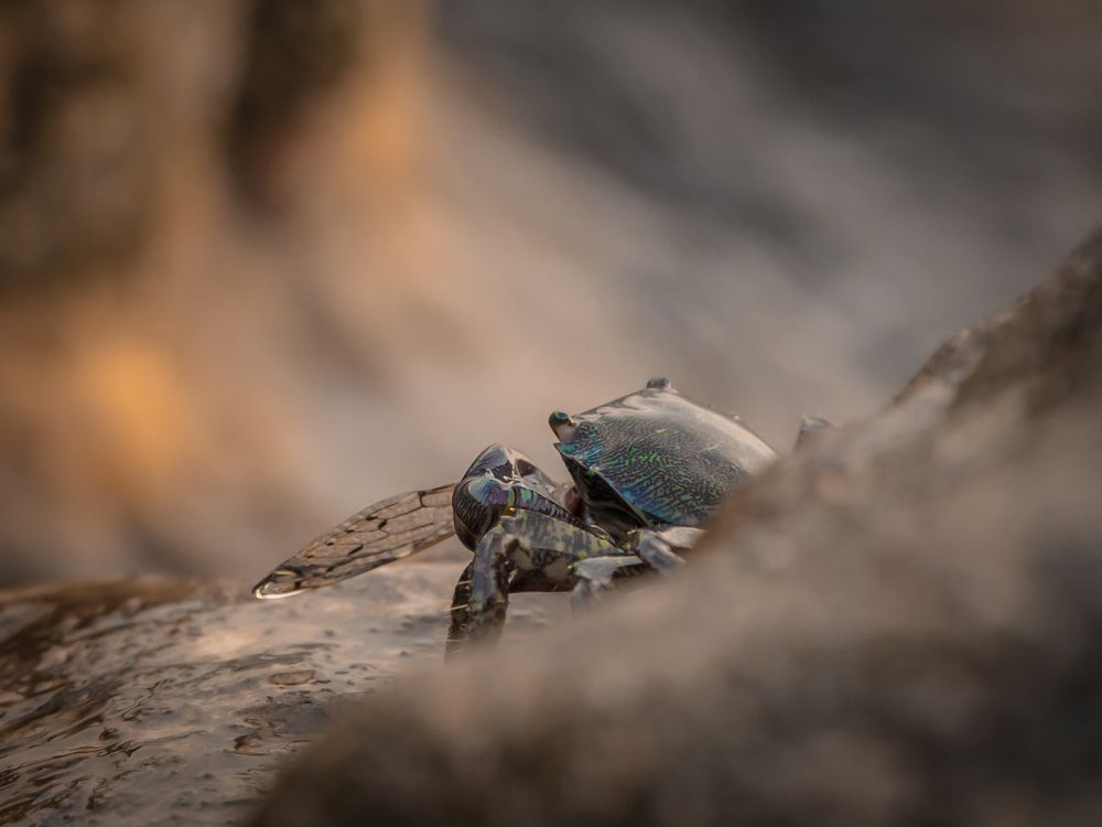 Photograph by Игорь Толкачев