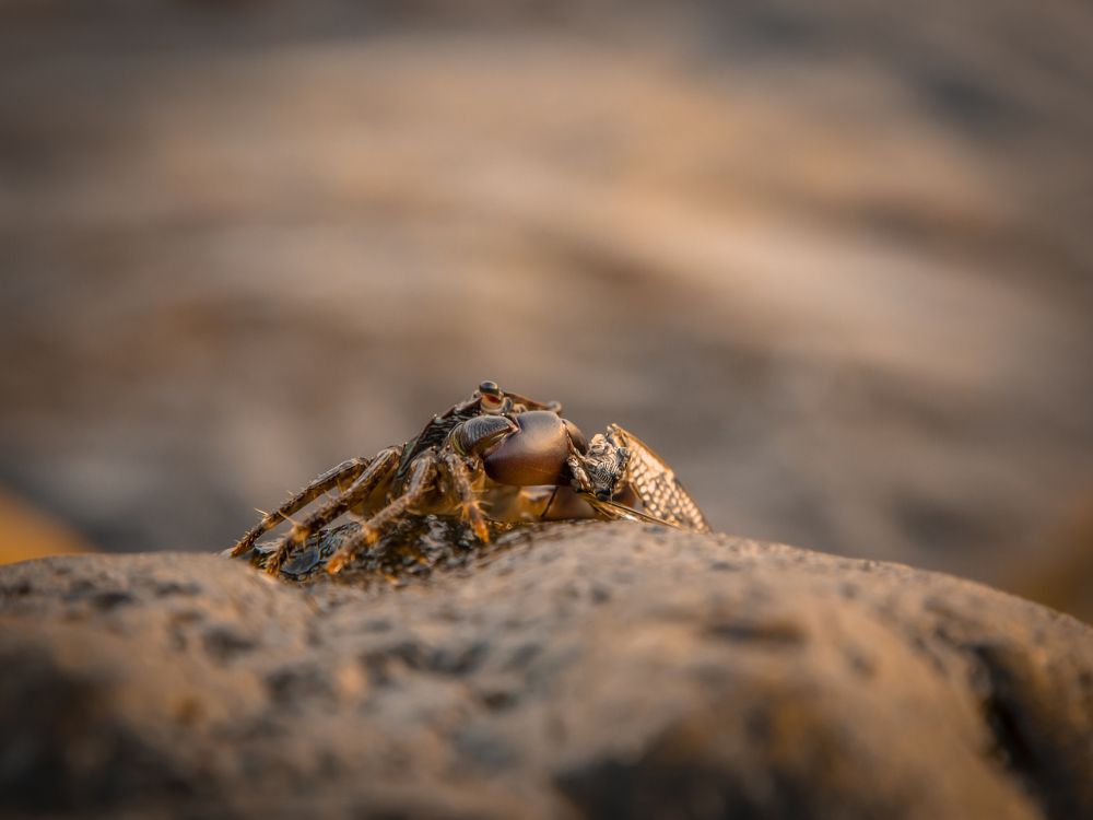 Photograph by Игорь Толкачев