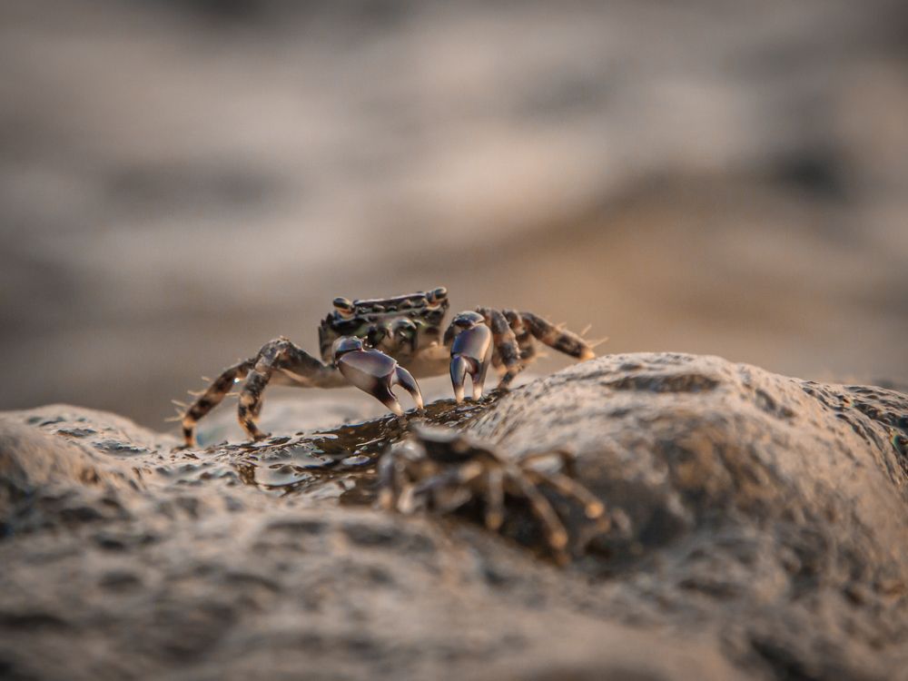 Photograph by Игорь Толкачев