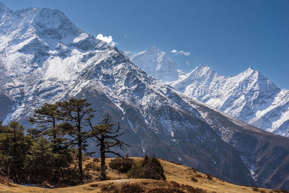Фотография автора Oleg Matronitskiy