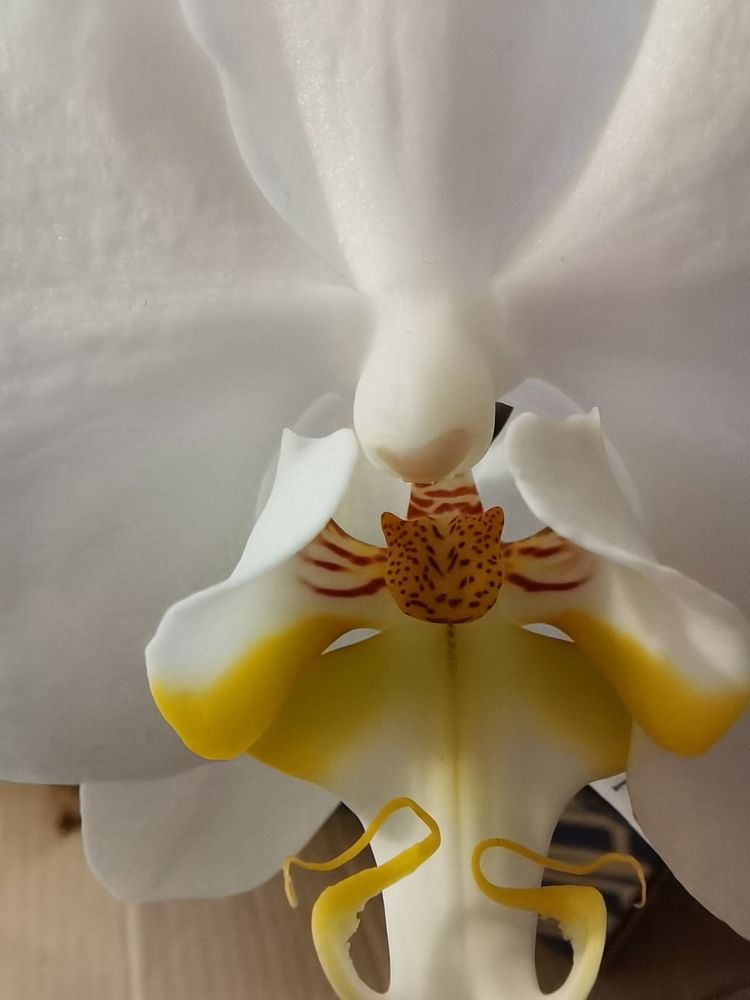 Photograph by Калинина Анастасия