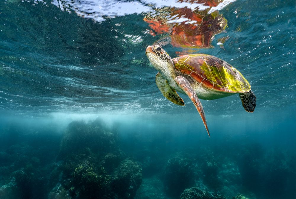 Photograph by Савин Андрей