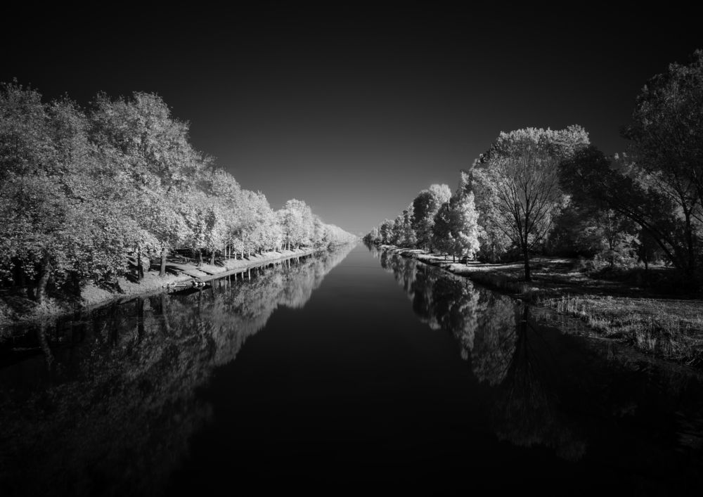 Photograph by АЛЛА ЗВЯГИНА