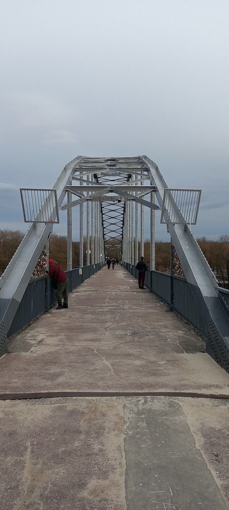 Фотография автора Марина Новикова