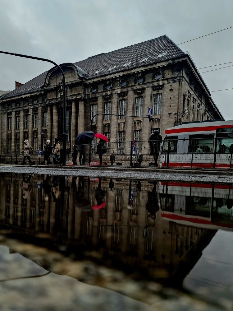 Фотография автора Maryna Pytliak