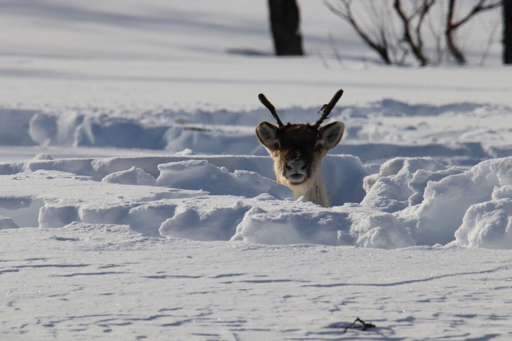 Photograph by Евгений Ничипорук