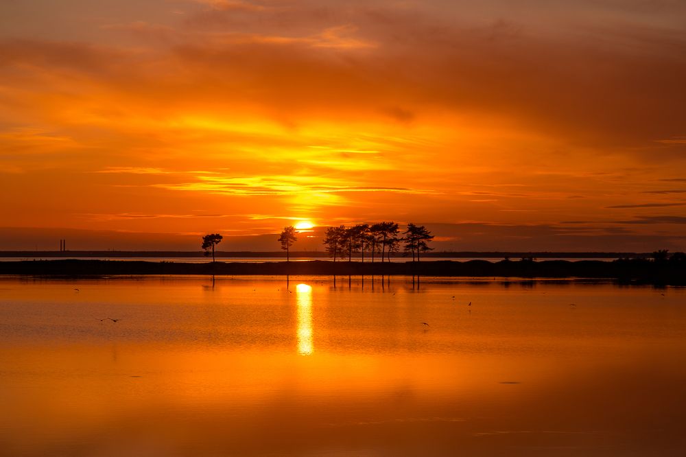 Photograph by Наталья Брюхненко