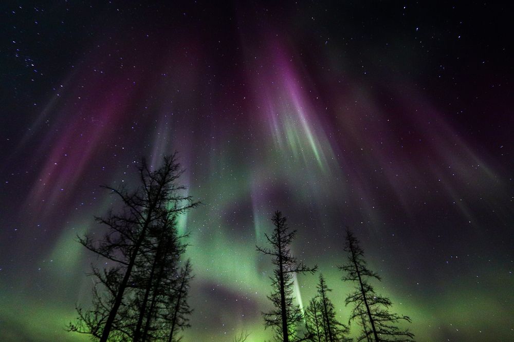 Photograph by Евгений Ничипорук