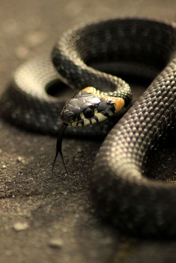 Photograph by Софья Белова