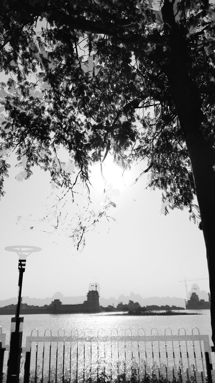 Photo #10540565