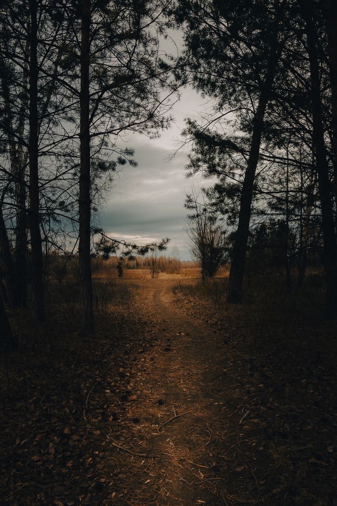 Photograph by Владимир Михайлович