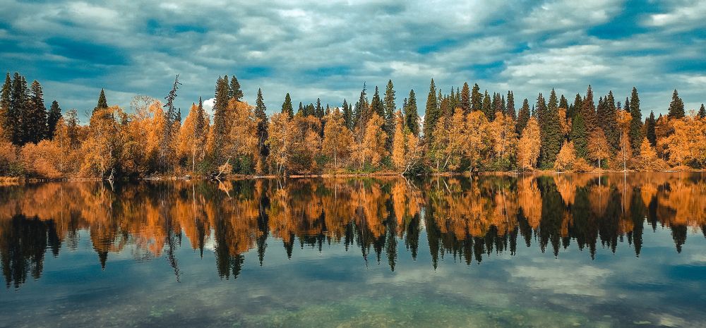 Осенний лес