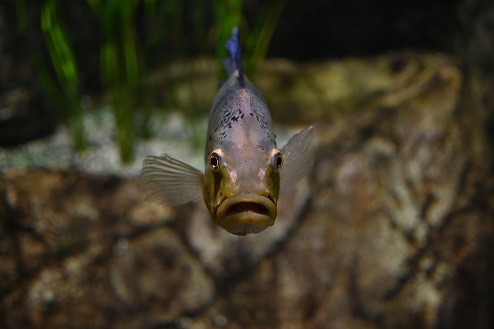 Photograph by Pavel Statsenko