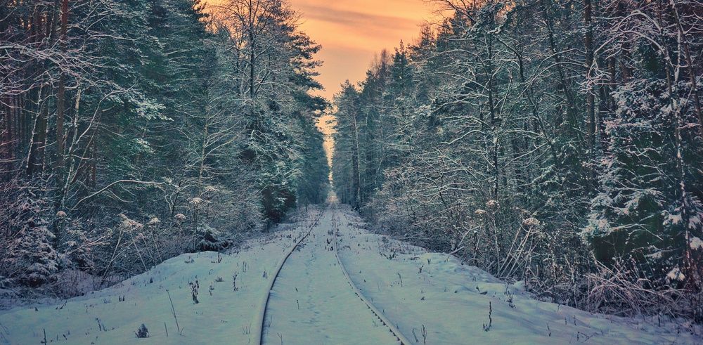 Photograph by Pavel Statsenko