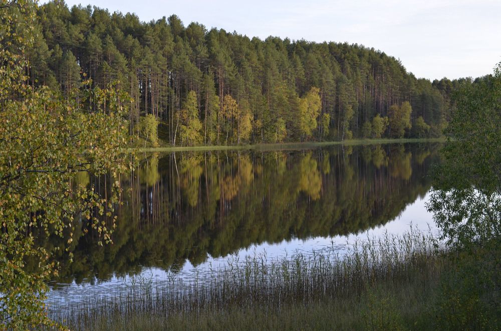 Photograph by Сергей Комаров