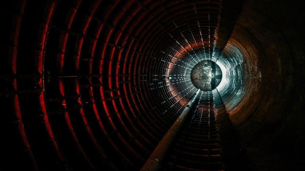 Фотография автора Медведева Елена